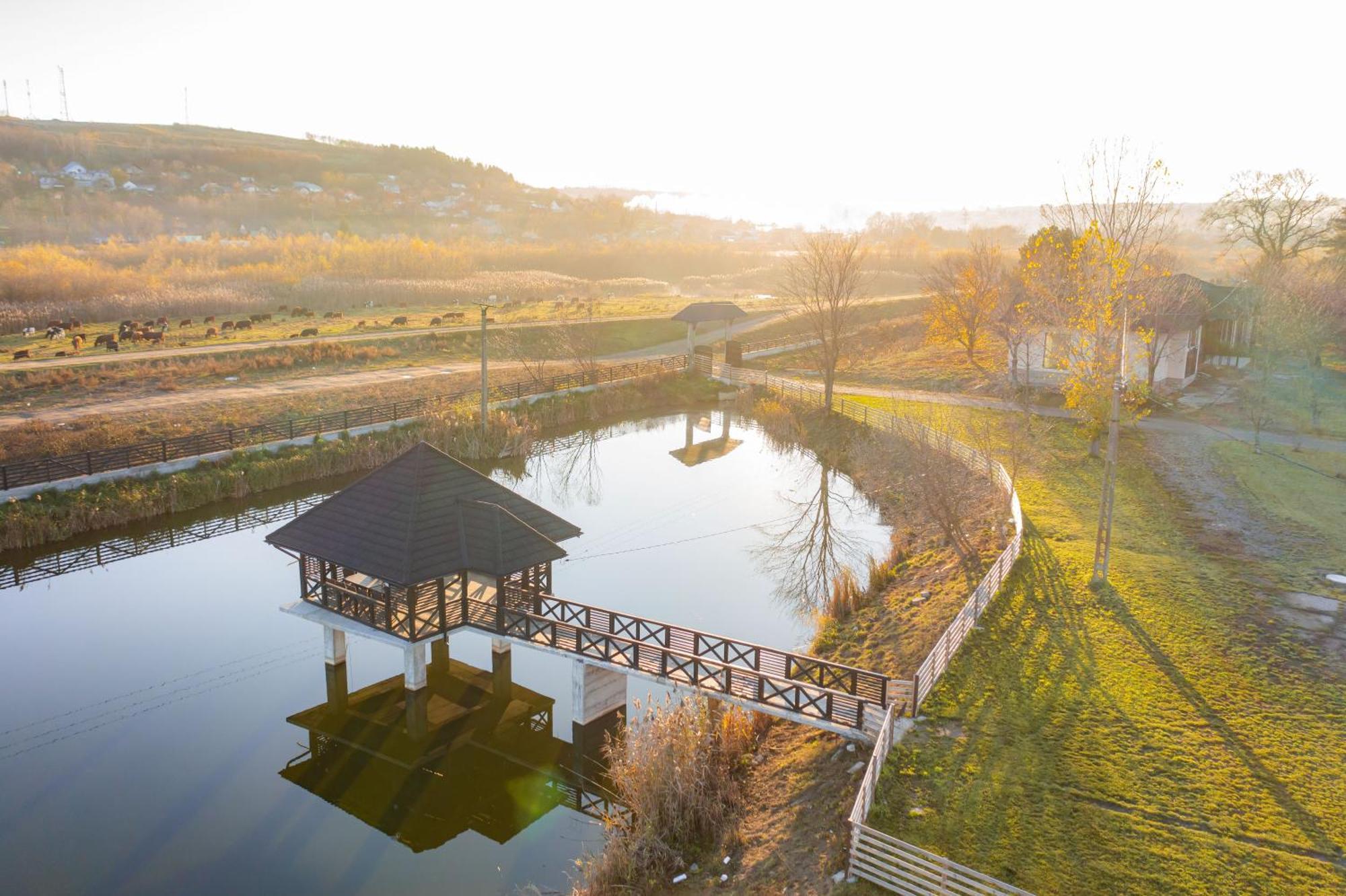 Отель Casa Andra Siret Экстерьер фото